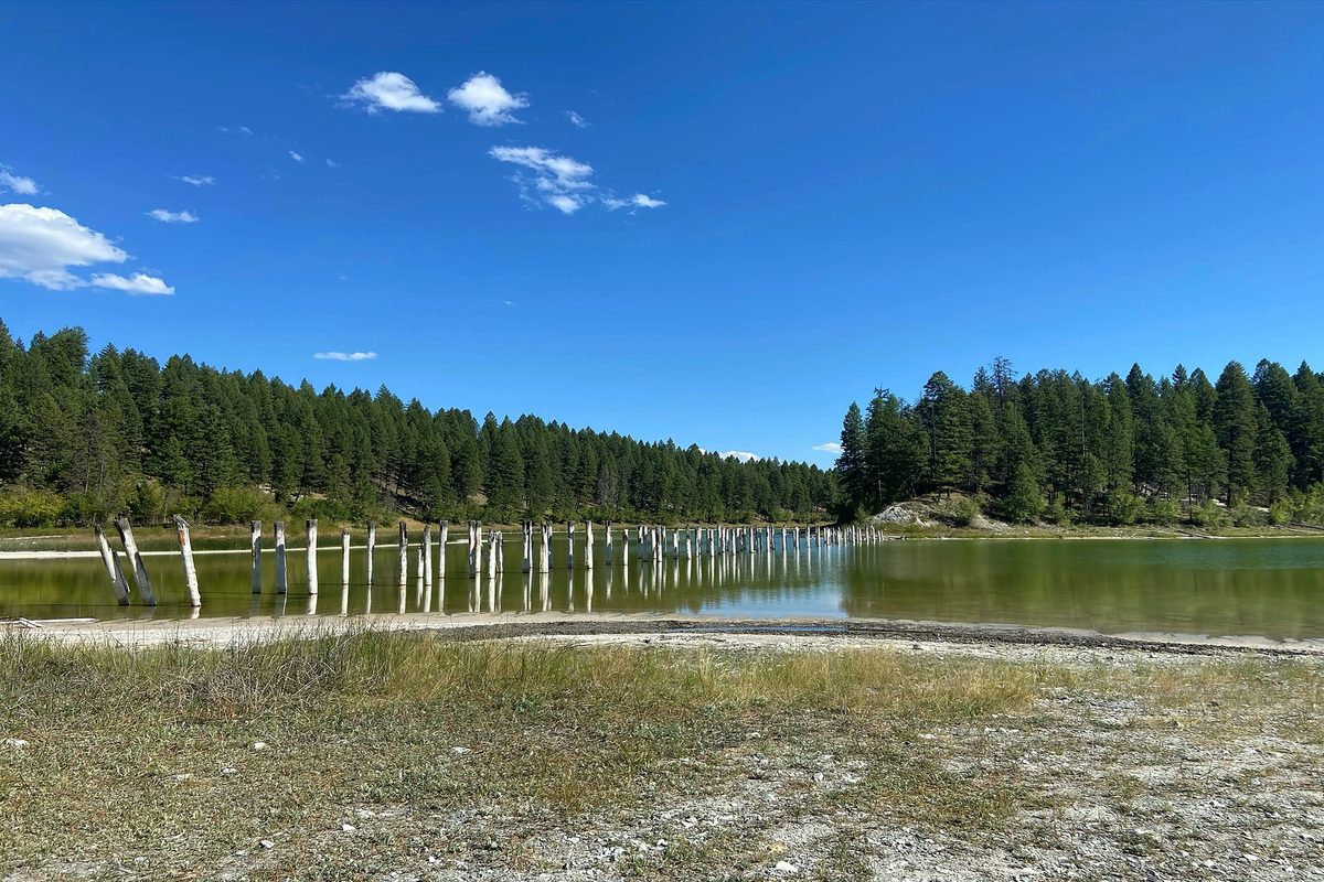 Fila de postes de madera de altura claramente dispar, saliendo del agua de un lago y reflejados en la superficie: la misma anatomía de un ohlc chart, donde el largo de cada barra vertical es el rango medido en ese periodo
